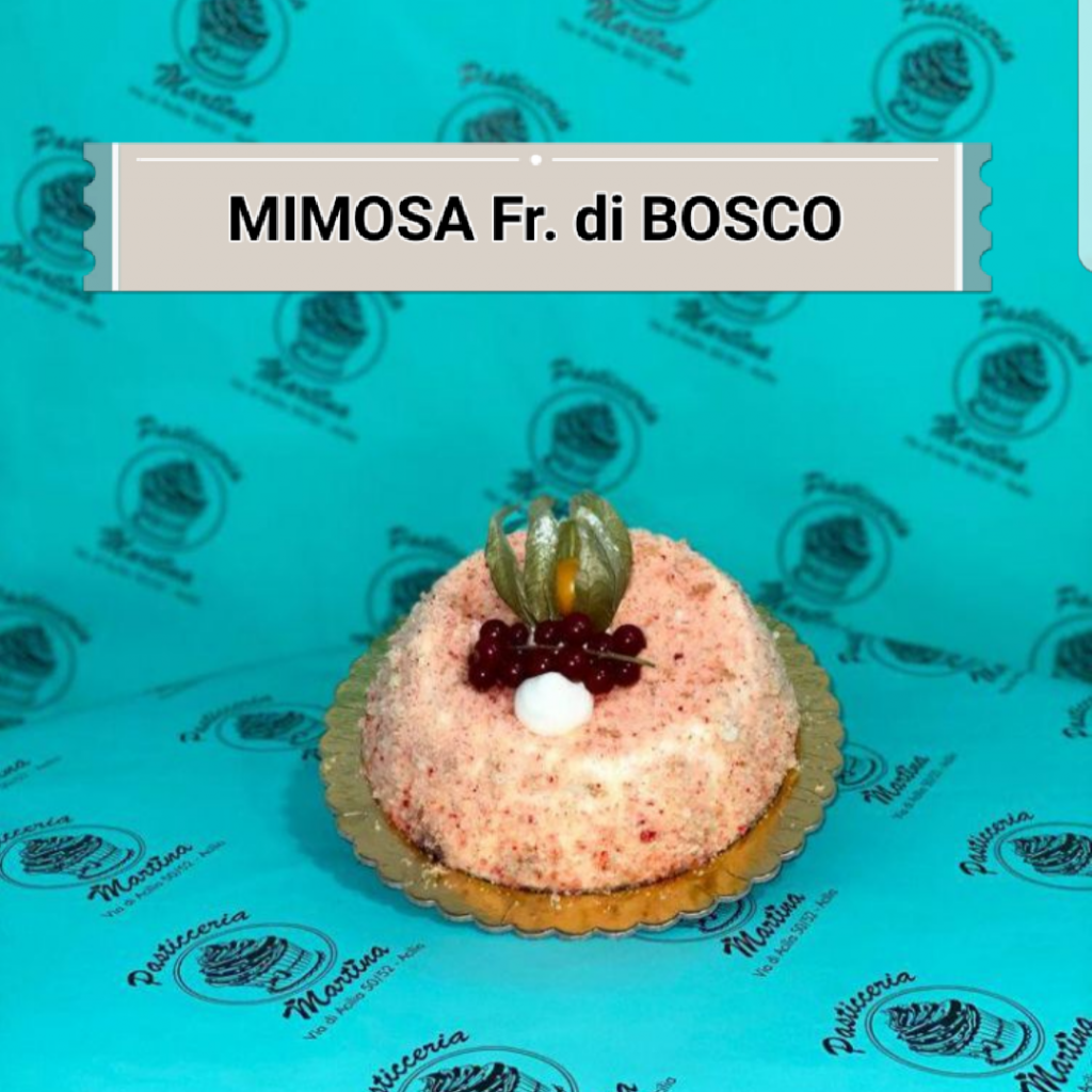 MIMOSA 1